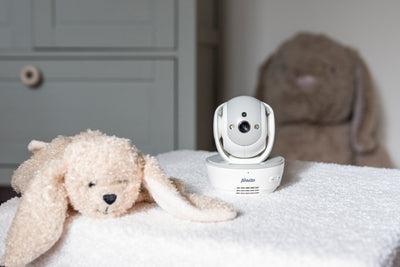 Alecto DVM200MGS - Video baby monitor with 4.3" colour display, white/grey